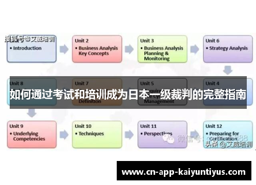 如何通过考试和培训成为日本一级裁判的完整指南