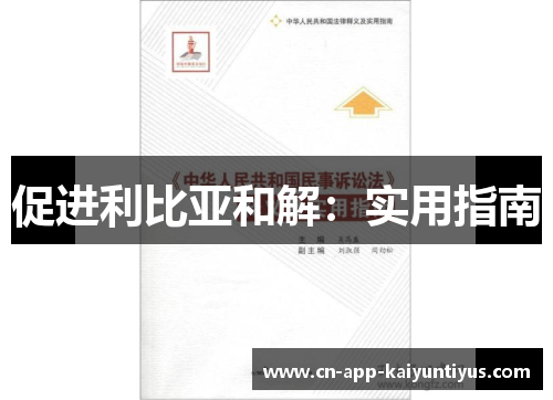 促进利比亚和解：实用指南