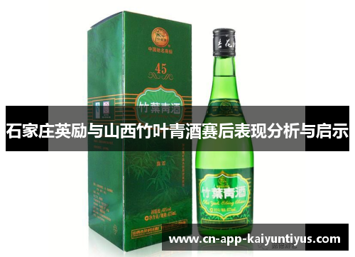 石家庄英励与山西竹叶青酒赛后表现分析与启示