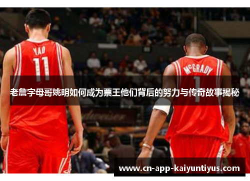 老詹字母哥姚明如何成为票王他们背后的努力与传奇故事揭秘