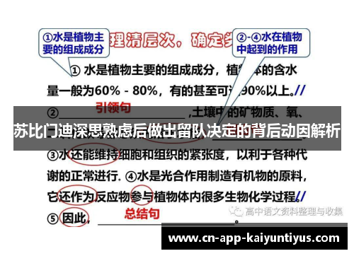 苏比门迪深思熟虑后做出留队决定的背后动因解析