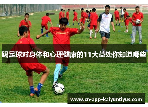 踢足球对身体和心理健康的11大益处你知道哪些