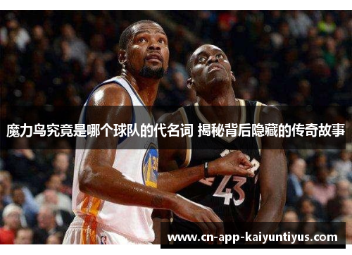 魔力鸟究竟是哪个球队的代名词 揭秘背后隐藏的传奇故事