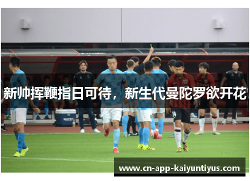 新帅挥鞭指日可待,新生代曼陀罗欲开花 新帅挥鞭指日可待,新生代曼陀罗欲开花